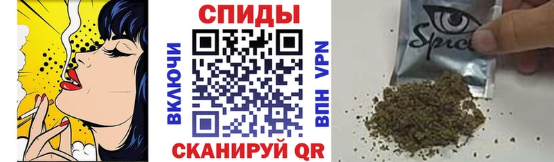 магазин    Кола  Бутират бутик 