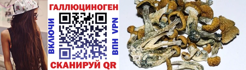 Псилоцибиновые грибы мухоморы  MEGA маркетплейс  Кола 